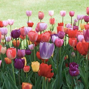 Meet your Posher, Mr